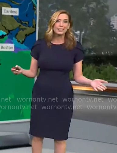 Stephanie Abrams’ navy sheath dress on CBS Mornings