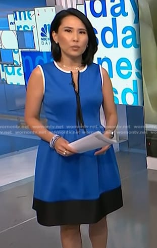 Vicky's blue colorblock zip front dress on NBC News Daily