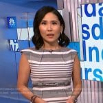 Vicky's grey striped sheath dress on NBC News Daily