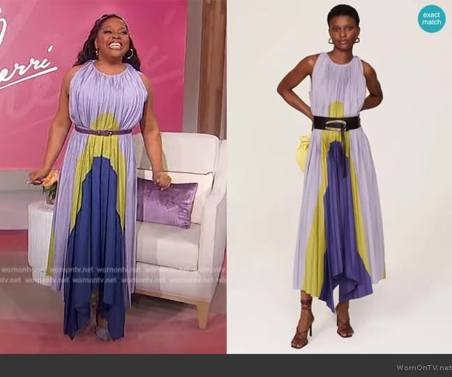 Bibhu Mohapatra Collective Pleated Panel Dress worn by Sherri Shepherd on Sherri