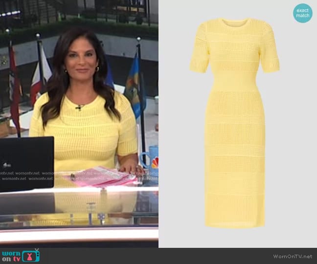 Jason Wu Collective Knit Midi Dress worn by Darlene Rodriguez on Today