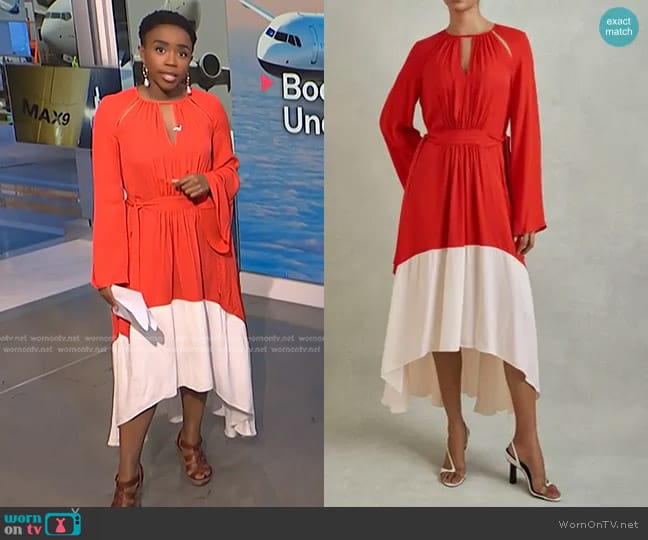 Reiss Luella Colorblock Long Sleeve Dress worn by Zinhle Essamuah on NBC News Daily