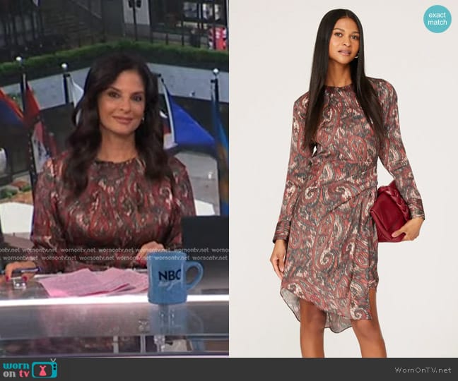 IRO Zimber Dress worn by Darlene Rodriguez on Today