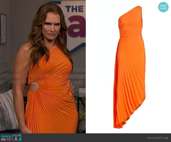 A.L.C. Delfina Dress worn by Brooke Shields on The Talk