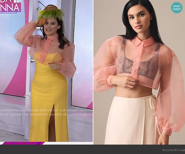 Anthropologie Sheer Crop Blouse in Pink worn by Donna Farizan on Today