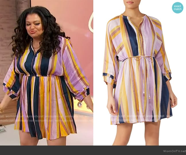 Apiece Apart La Flutte Mini Dress worn by Michelle Buteau on Sherri