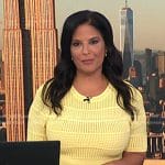 Darlene’s yellow short sleeve knit dress on Today