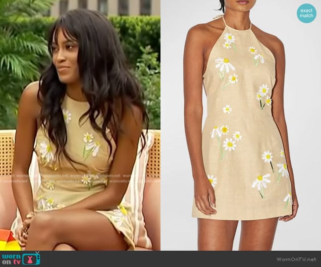 Bernadette Delilah Embroidered Linen Mini Dress worn by Ciara Miller on Access Hollywood