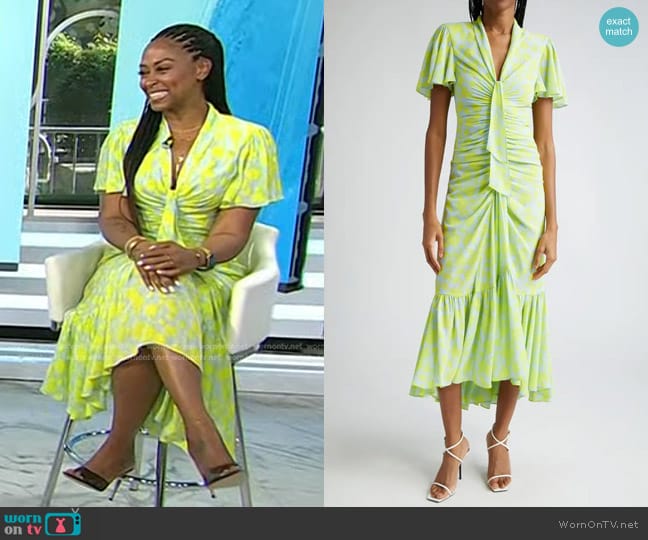 Cinq a Sept Graphic Floral Peeta Dress in Serene Sky/Fresh Lime worn by Rhea Williams on Today