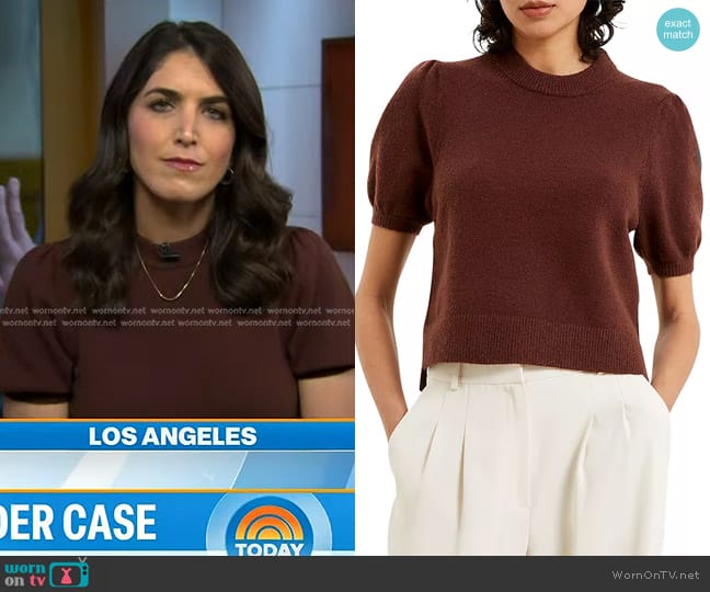 French Connection Vhari Short Sleeve Sweater worn by Liz Kreutz on Today