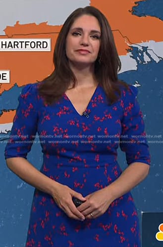 Maria’s blue floral v-neck dress on Today