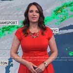 Maria Larosa’s red belted dress on Today