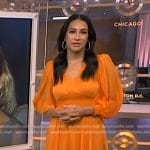 Morgan’s orange pleated chiffon dress on NBC News Daily