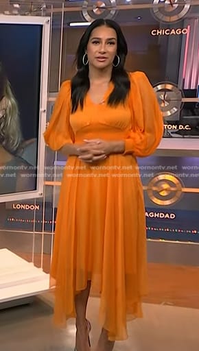 Morgan's orange pleated chiffon dress on NBC News Daily