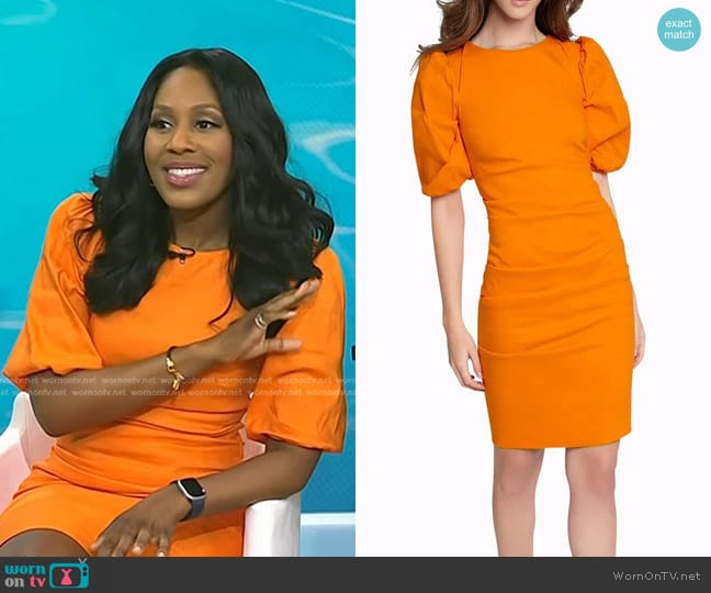 Nicole Miller Stretch Puff Sleeve Lauren Dress worn by Dr. Jen Caudle on Today