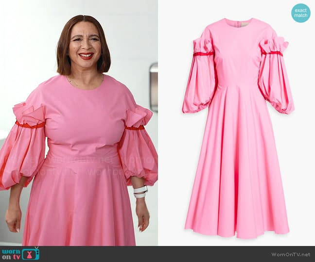 Roksanda Enala ruffled cotton-poplin midi dress worn by Molly Novak (Maya Rudolph) on Loot