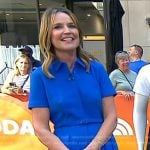 Savannah’s blue belted shirtdress on Today