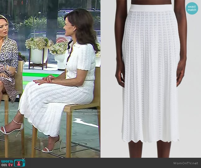 Scanlan Theodore Pleat Lace Skirt worn by Carla Gugino on Today