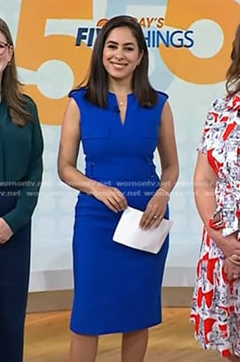 Seema Mody’s blue sheath dress on Today