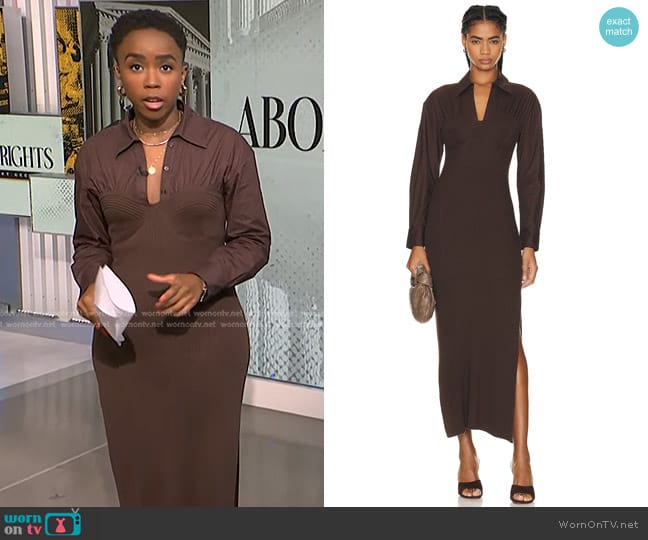 Staud Hazel Dress in Mahogany worn by Zinhle Essamuah on NBC News Daily