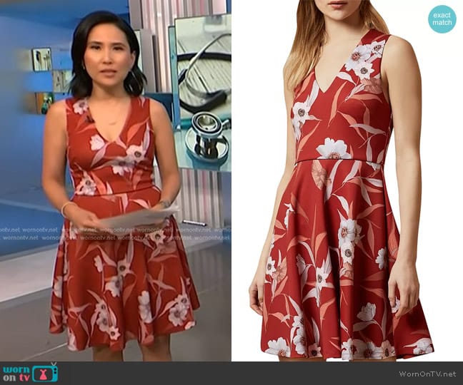 Ted Baker Enyaa Cabana Print Skater Dress worn by Vicky Nguyen on NBC News Daily