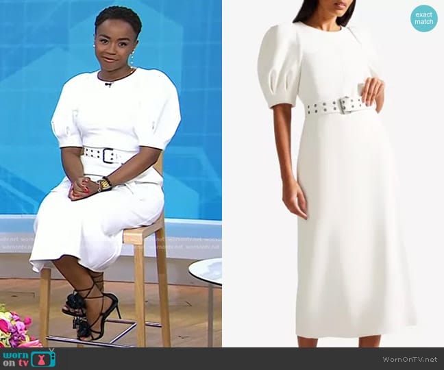 Ted Baker Gabyela Puffed-sleeve Midi Dress worn by Zinhle Essamuah on Today