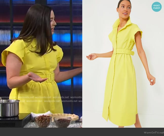 Tuckernuck Citron Chloe Dress worn by Ivy Odom on The Kelly Clarkson Show