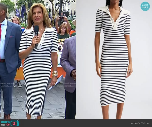 A.L.C. Darcy Stripe Midi Sweater Dress worn by Hoda Kotb on Today