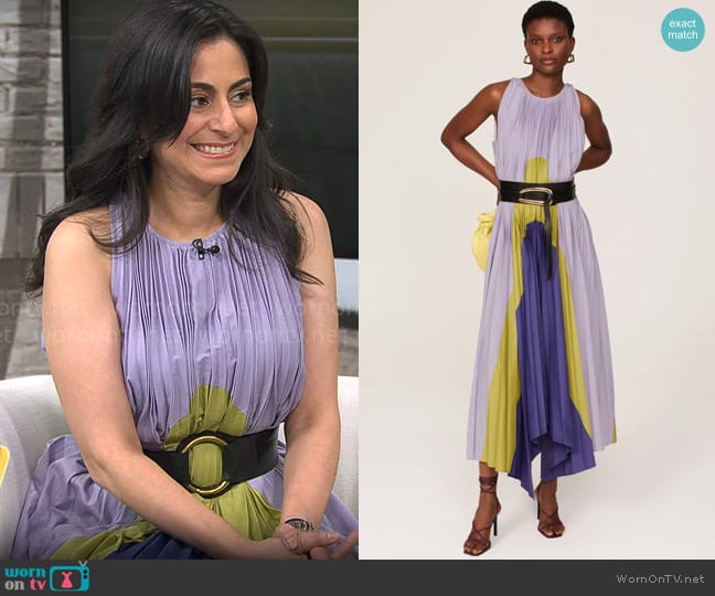 Bibhu Mohapatra Collective Pleated Panel Dress worn by Dr. Celine Gounder on CBS Mornings