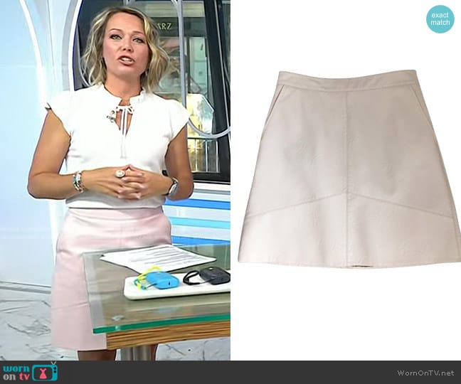 Zara Basic Collection Faux Leather Mini Skirt worn by Dylan Dreyer on Today