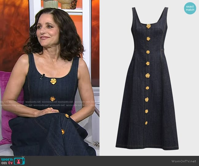 WornOnTV: Julia Louis-Dreyfus’s denim dress with gold embellished ...