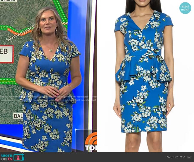 Alexia Admor Willow Sheath Dress in Blue Floral worn by Emily West on Today