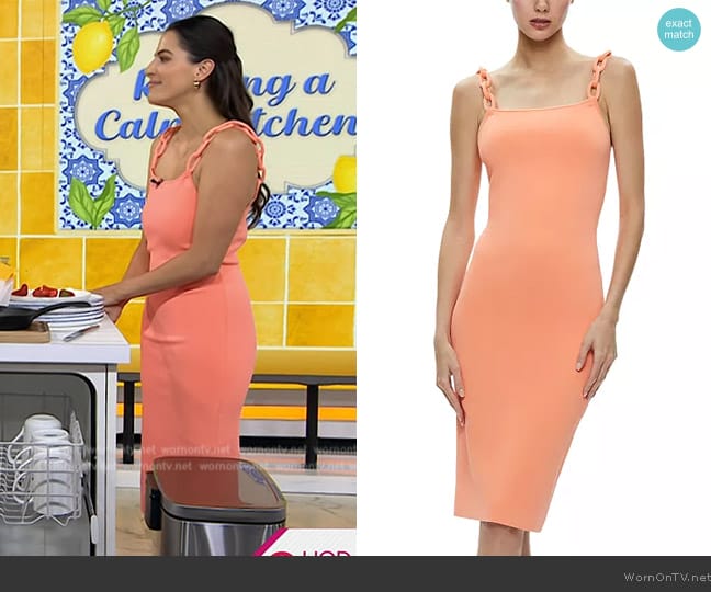 Alice + Olivia Alina Looped Straps Midi Dress worn by Janelle Cohen on Today