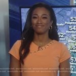 Brittany Bell’s orange grommet dress on Good Morning America