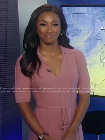 Brittany's pink collared dress on Good Morning America