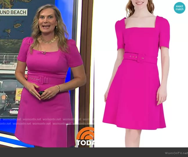 Donna Ricco Square Neck Belted Fit & Flare Dress worn by Emily West on Today