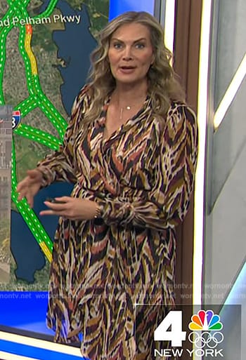 Emily's ikat print dress on Today