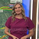 Emily’s purple tie waist dress on Today