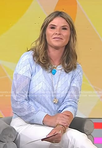 Jenna's light blue chevron sweater on Today