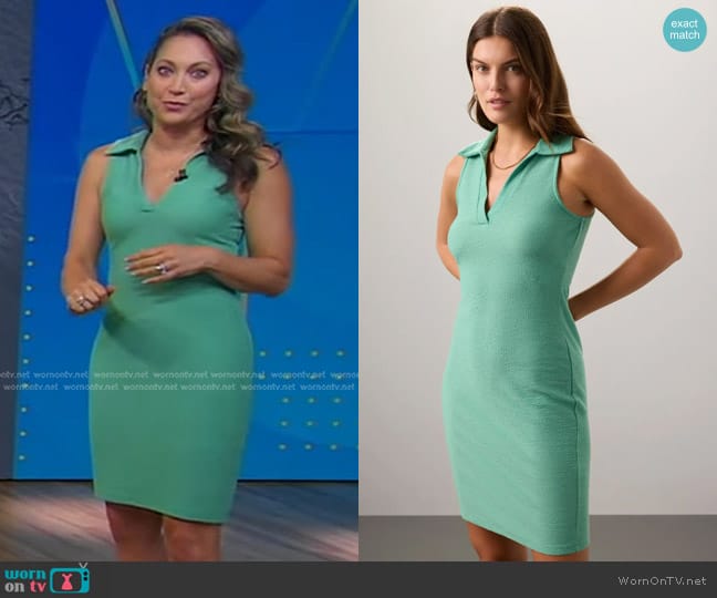 Louna Collared Ribbed Dress worn by Ginger Zee on Good Morning America