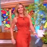 Sara’s brown sleeveless shirtdress on The View