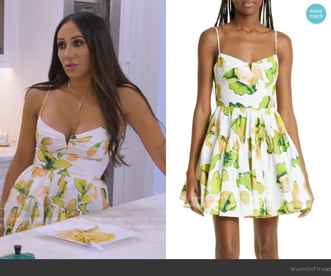 Sau Lee Colette Print Tiered Dress worn by Melissa Gorga on The Real Housewives of New Jersey