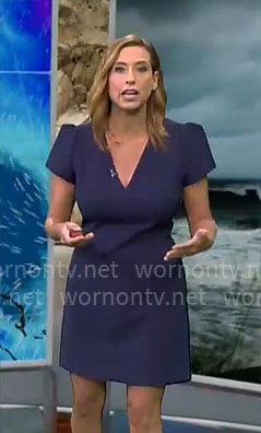 Stephanie Abram's navy short sleeved v-neck dress on CBS Mornings