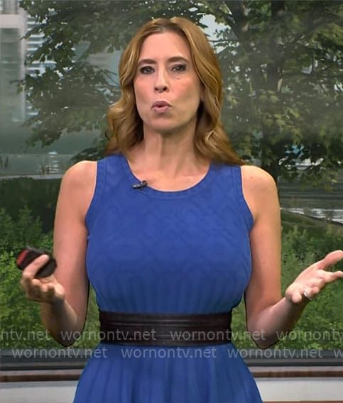 Stephanie Abrams' blue sleeveless fit and flare dress on CBS Mornings