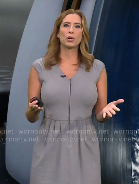 Stephanie Abrams's grey v-neck dress on CBS Mornings