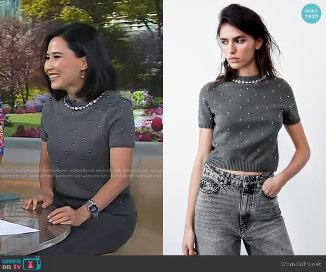 Zara Pearl and Jewel Knit Sweater in Gray worn by Vicky Nguyen on Today