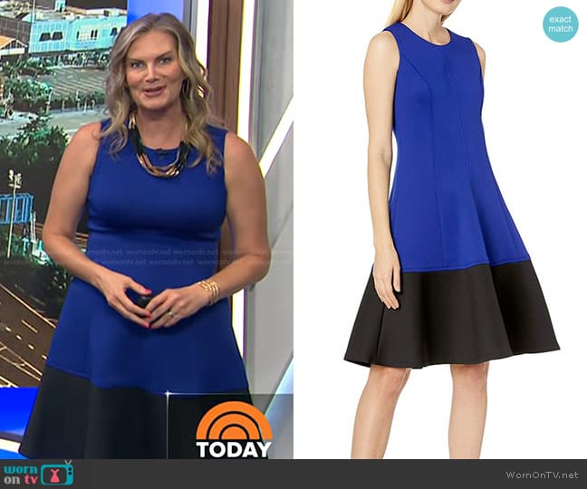 Calvin Klein Color Block Fit & Flare Dress worn by Emily West on Today