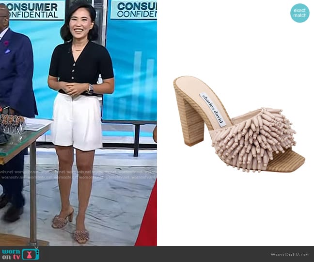 Charles David Beaded Slide- Hottie in Nude worn by Vicky Nguyen on Today