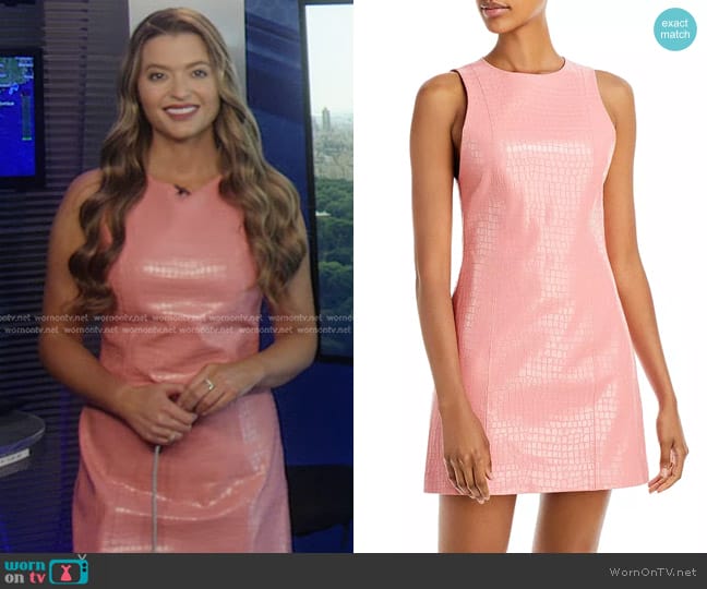 Alice + Olivia Daven Croc Embossed Faux Leather Sheath Dress worn by Dani Beckstrom on Good Morning America