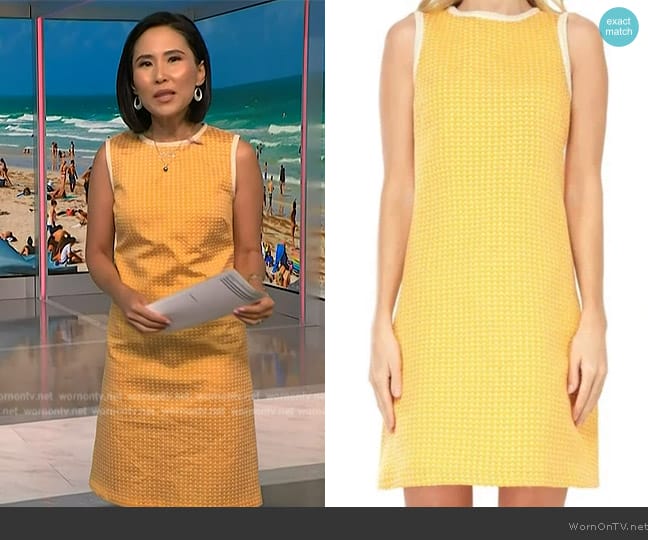 Max Studio Sleeveless Dress worn by Vicky Nguyen on NBC News Daily